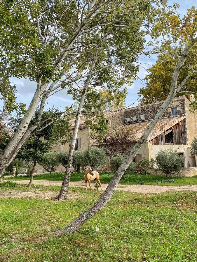 Domaine Cap Rubis Bed & Breakfast Paradou Exterior photo
